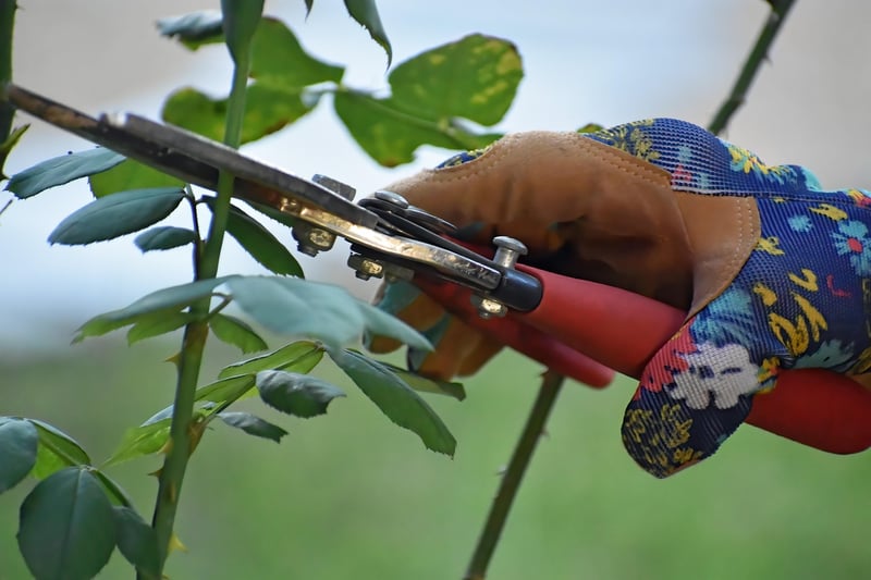 Flower Pruning
